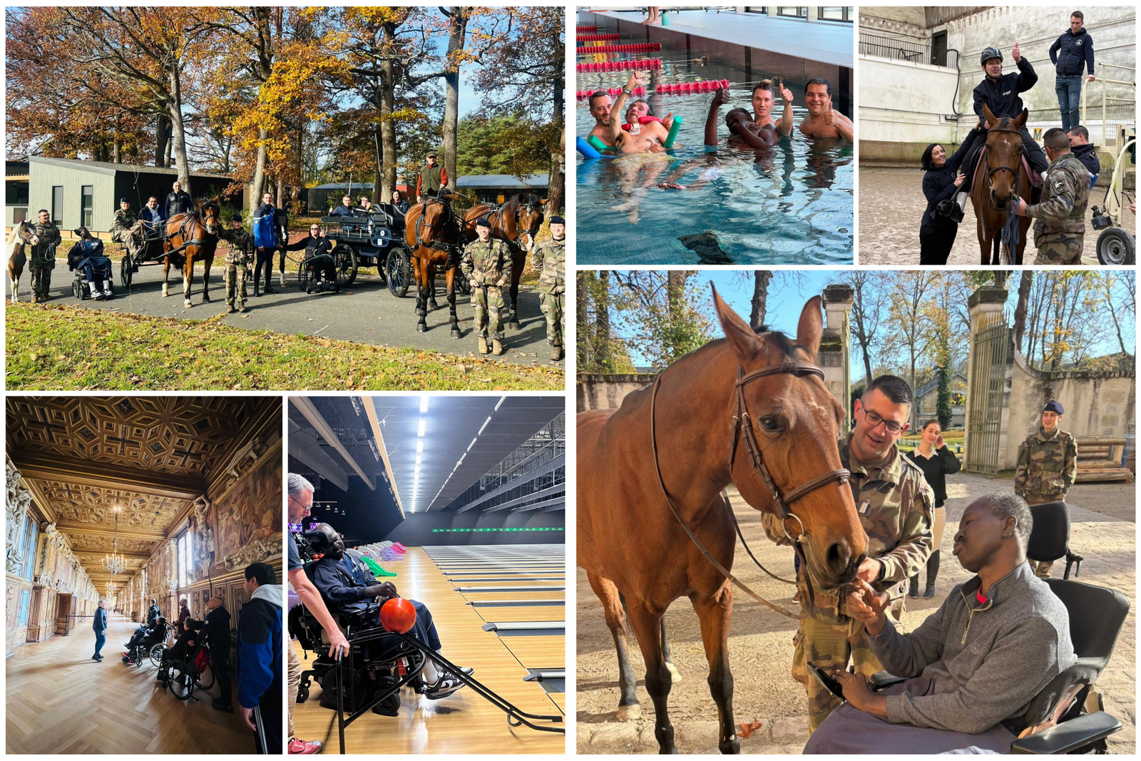 🌿 Stage d’oxygénation à Fontainebleau : un temps pour souffler et se retrouver 🐴🏰