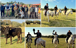 Un moment hors du temps à la Manade de Sylvéréal 🌾🐴