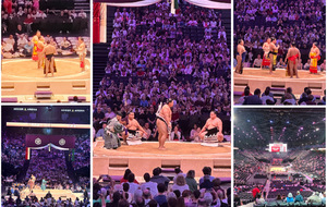 Le CSINI à la découverte du sumo à Paris 🇯🇵🇫🇷