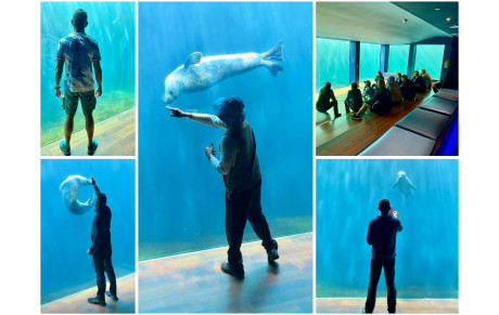 Quand la magie opère entre l’Homme et l’animal ✨🐬