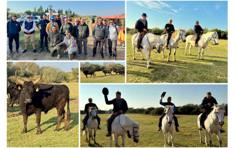 Un moment hors du temps à la Manade de Sylvéréal 🌾🐴