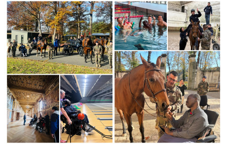 🌿 Stage d’oxygénation à Fontainebleau : un temps pour souffler et se retrouver 🐴🏰
